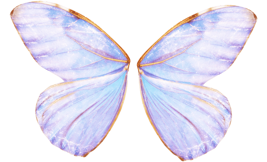 fairy wings - image